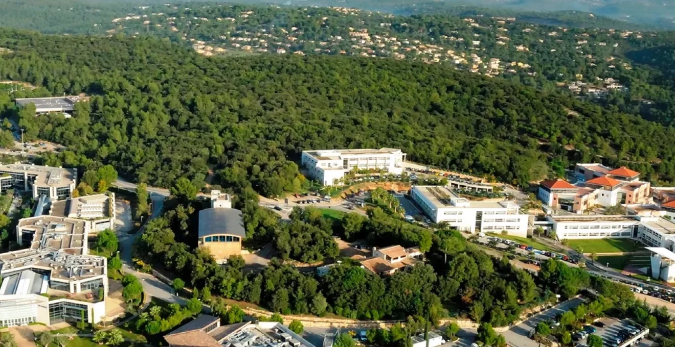 les-tresors-caches-de-sophia-antipolis-visites-douces-et-decouvertes-pour-familles-curieuses