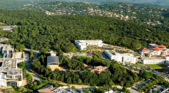 les-tresors-caches-de-sophia-antipolis-visites-douces-et-decouvertes-pour-familles-curieuses